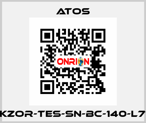 DLKZOR-TES-SN-BC-140-L71/Y Atos