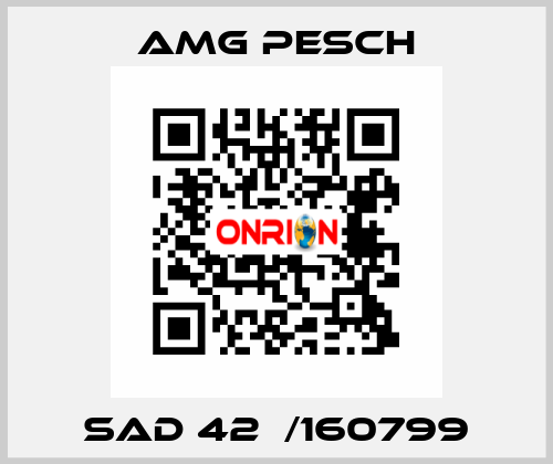 SAD 42  /160799 AMG Pesch