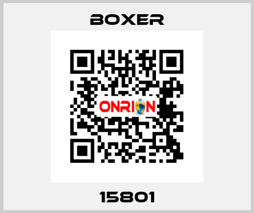 15801 Boxer