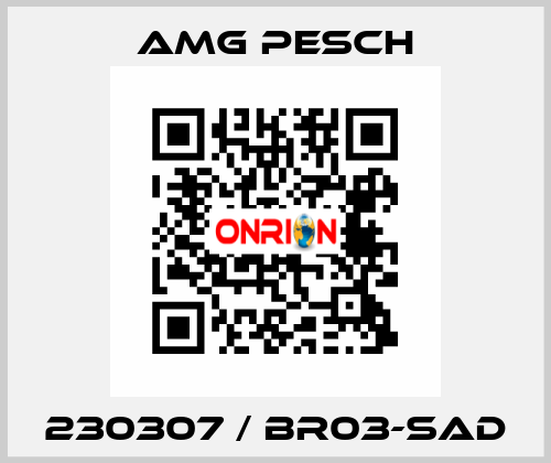 230307 / BR03-SAD AMG Pesch