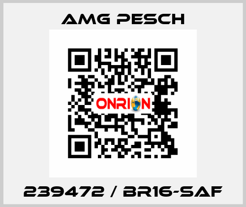 239472 / BR16-SAF AMG Pesch