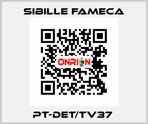 PT-DET/TV37  Sibille Fameca