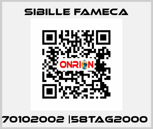 70102002 |58TAG2000  Sibille Fameca