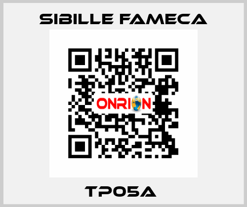 TP05A  Sibille Fameca