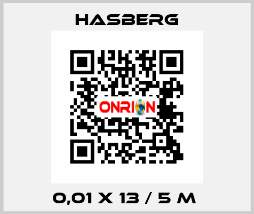 0,01 X 13 / 5 M  Hasberg