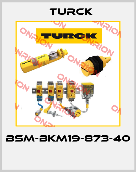 BSM-BKM19-873-40  Turck