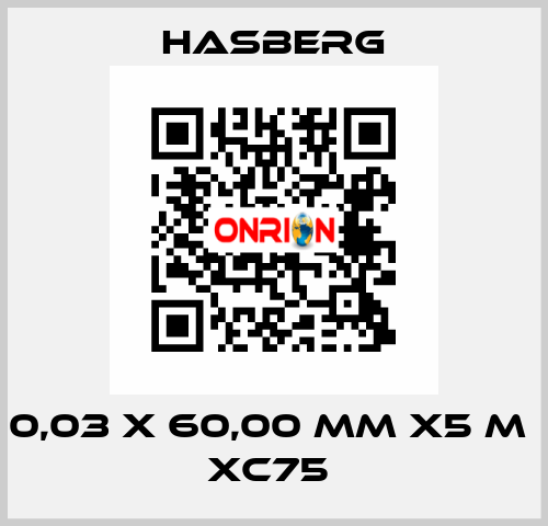 0,03 X 60,00 MM X5 M  XC75  Hasberg